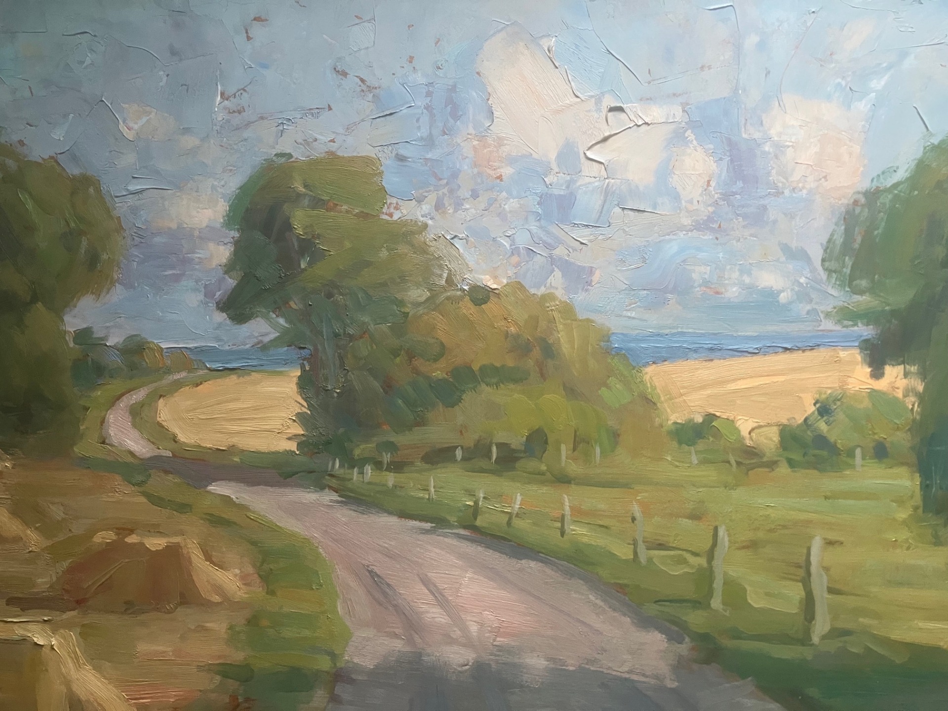 Besøg også sommerens særudstilling, som en en række værker af Hindsholm-kunstneren Peter Larsen Birkebjerg (1907-1993)